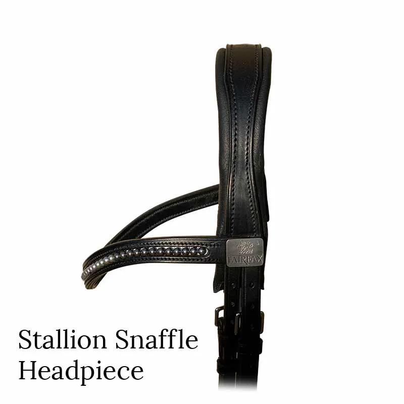 Fairfax Headpiece - Stallion Black